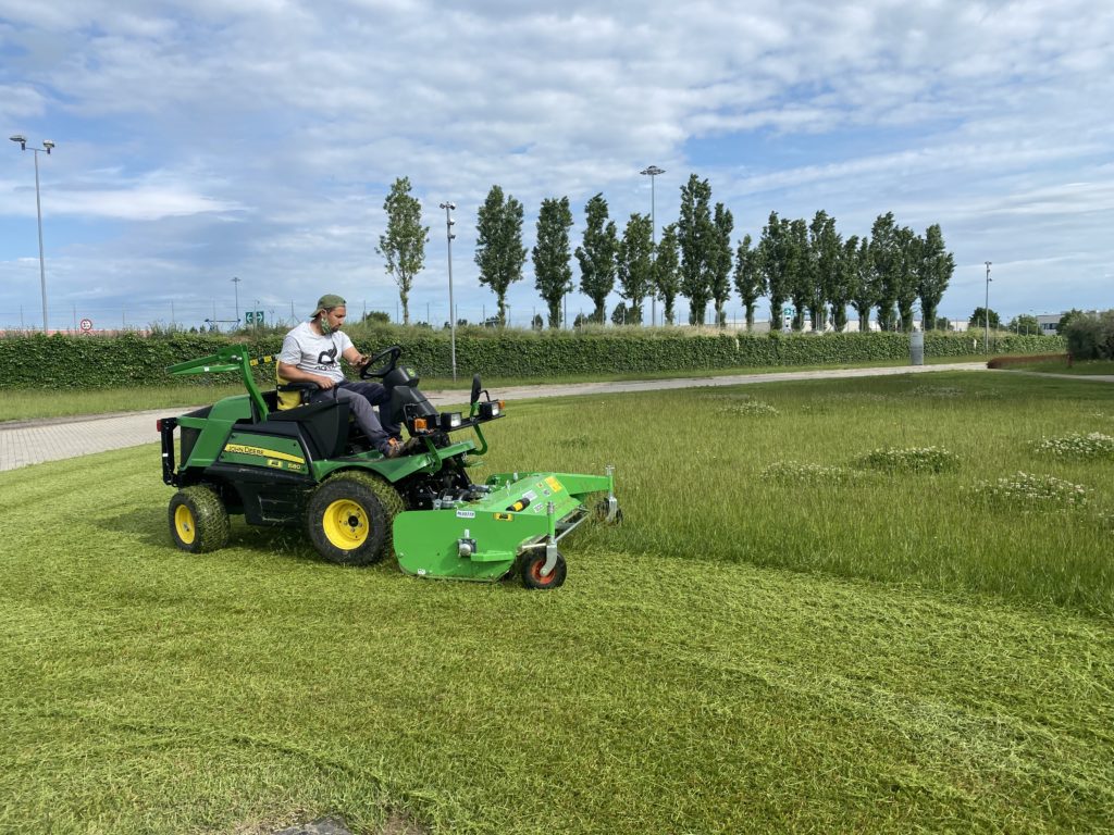 Manutenzione del giardino in primavera