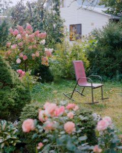 giardino con rose e ortensie